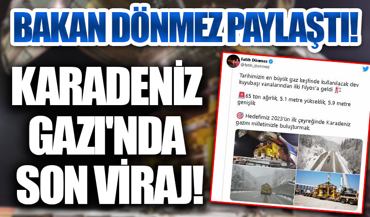 Bakan Dönmez'den, 'Karadeniz gazı' açıklaması