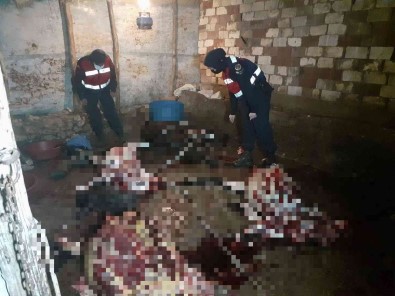 Esek Kesip Piyasaya Sürmeye Çalisanlara Jandarmadan Suçüstü