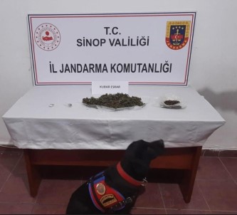 Sinop'ta Uyusturucu Operasyonunda 2 Kisi Tutuklandi