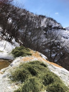 Tunceli'de Yaban Hayvanlari Için Dogaya Yem Birakildi