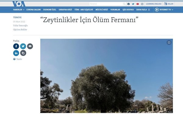 'Zeytinlik' üzerinden algı yapan gazetelere Enerji ve Tabii Kaynaklar Bakanlığı'ndan yanıt...
