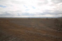 Gölbasi Geçici Hayvan Barinagi Ve Rehabilitasyon Merkezi Hizmete Açiliyor