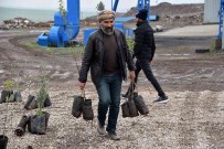 Siverek'te Çiftçilere Meyve Fidani Dagitildi