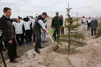 Çorum'da 70 Milyon 500 Bin Fidan Toprakla Bulustu