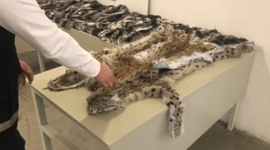 Gümrük Muhafaza Ekiplerinden Kaçakçilara Büyük Darbe