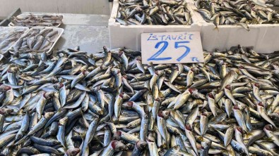 Karadenizli Balikçilar Sezondan Umdugunu Bulamadi