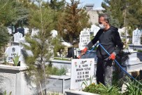 Siirt'te Mezarliklarda Ilaçlama Çalismasi Haberi