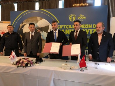 Sile'de 25 Bin Hayvanin Asilamasi Ücretsiz Gerçeklestiriliyor