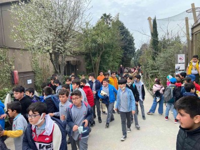 Darica'da Çocuklar Hayvanat Bahçesi'ni Geziyor