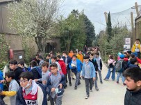 Darica'da Çocuklar Hayvanat Bahçesi'ni Geziyor