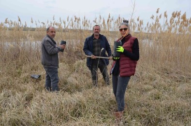 Kuluçkaya Yatan Kuslar Için Çalisma Yaptilar