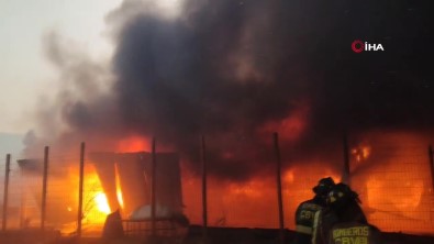 Sili'de Orman Yangini Yerlesim Yerlerine Siçradi