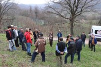 Yalova'da Çiftçilere Trabzon Hurmasi Budama Egitimi Haberi