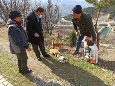 Sokak Hayvanlari Unutulmadi,1 Ton Mama Dogaya Birakildi