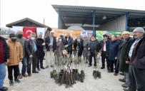 Yunusemre Belediyesinden Üreticilere Fidan Ve Kovan Destegi