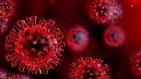 Sağlık Bakanlığı 5 Mart koronavirüs verilerini paylaştı