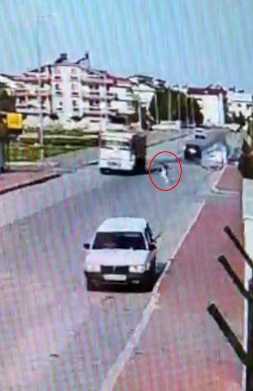 Antalya'da korkunç olay: 9 yaşındaki kızın bacağı paramparça oldu! 'Isırsa daha iyiydi'