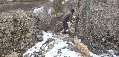 Bingöl'de Ekipler 2 Ayda Dogaya 25 Ton Yem Birakti