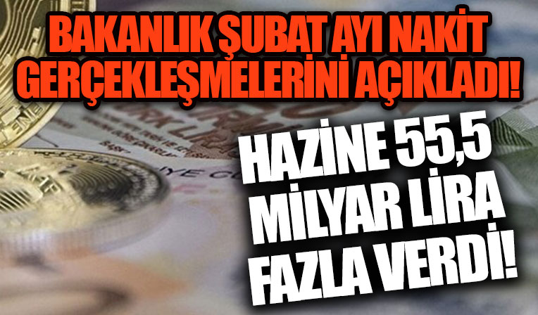 Nakit dengesi şubat ayında 55 milyar 513 milyon lira fazla verdi