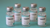TURKOVAC - Yerli COVID-19 aşısı Turkovac flaş gelişme! Bu bir ilk olacak...