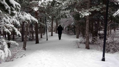Kar, Yozgat Çamligi Milli Parki'nda Seyrine Doyumsuz Görüntüler Olusturdu