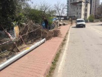 2 Yil Önce Kazayi Kil Payi Atlatan Köpek Bu Kez Kurtulamadi