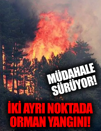 Bursa'da iki ayrı noktada orman yangını! Müdahaleler sürüyor!
