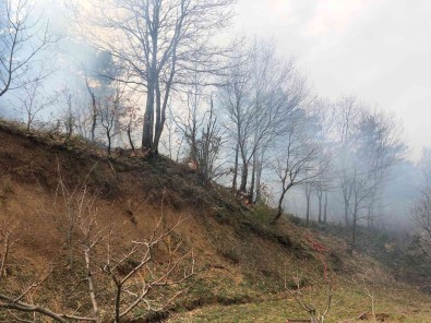 Bursa Dagyenice'de Orman Yangini