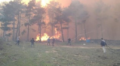 Çanakkale Kazdağları’nda yangın!