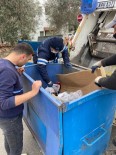 Çöp Toplarken Konteynirda Yavru Kedilerle Karsilasti
