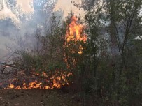 Karpuzlu'da Orman Yangini