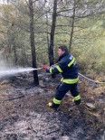 Kavaklidere Itfaiye Amirligi Orman Yanginina Müdahale Etti