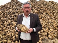 Sekerde Fiyat Oyununu Bozacak Gelisme
