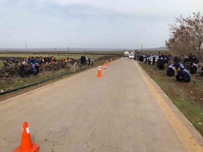 Siverek'te Kaza Açiklamasi 1 Ölü 1 Yarali