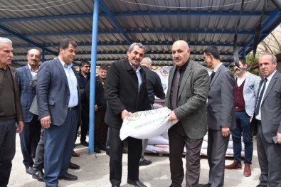 Dogansehir De Yüzde 75 Hibeli Kuru Fasulye Tohumu Dagitildi