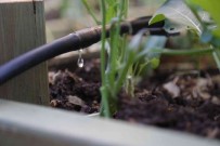 Kadiköy'de Hasat Zamani Açiklamasi 'Yagmur Topla Bizim Için'