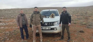 Kekliklerin Neslini Tehlikeye Sokan Yasa Disi Ava 25 Bin Lira Ceza