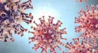 12 Nisan koronavirüs tablosu açıklandı!