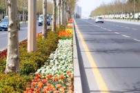 Diyarbakir 3 Milyon 300 Bin Çiçekle Rengarenk