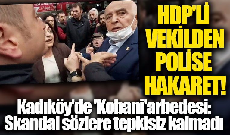 HDP'li Musa Piroğlu'ndan polise hakaret