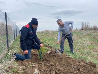 Köy Dernegi 2 Bin Adet Fidan Dikti