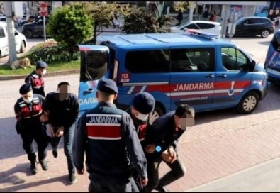 Sinop'ta Jandarma Hirsizlik Sebekesini Çökertti