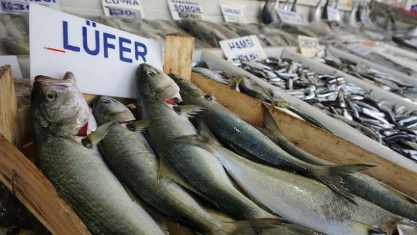 2021- 2022 balıkçılık av sezonu yasağı yarın başlıyor! Kurallara uymayanlar ceza yağdı: 27 milyon 597 bin lira