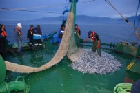  TARIM VE ORMAN BAKANLIĞI - 2021- 2022 balıkçılık av sezonu yasağı yarın başlıyor! Kurallara uymayanlar ceza yağdı: 27 milyon 597 bin lira
