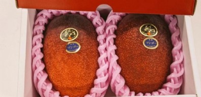 Altından pahalı meyve: Açık artırmayla satıldı! İki tanesi 58 bin lira