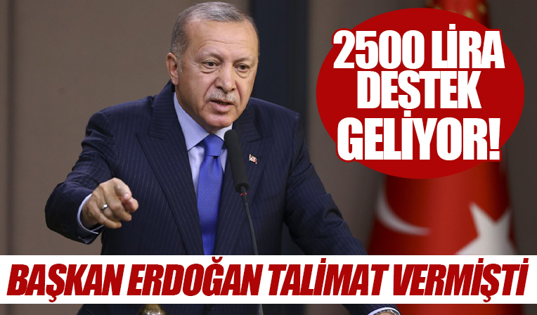 Başkan Erdoğan talimatı vermişti: Besiciye büyükbaş için 2 bin 500 lira destek