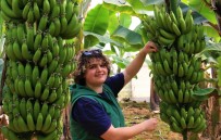 Bir Dönem Lükstü, Simdi Enflasyona Direnen Meyve Oldu