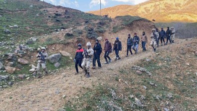 Bitlis'te 99 Göçmen Ve 6 Organizatör Yakalandi