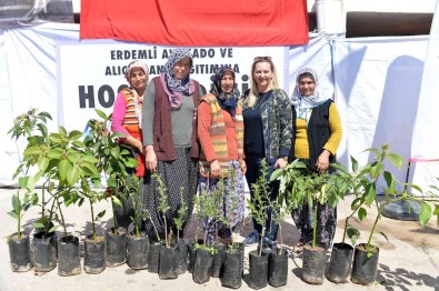 Büyüksehir Belediyesinden Erdemlili Üreticilere Avokado Ve Aliç Fidani