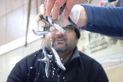 Karadeniz'de Balik Sezonu Yasaktan Önce Bitti